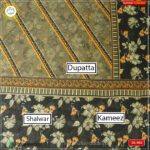 Bana Dora Kamalia Khaddar Ladies Unstitched Printed Lawn| DL-602 - Image 3